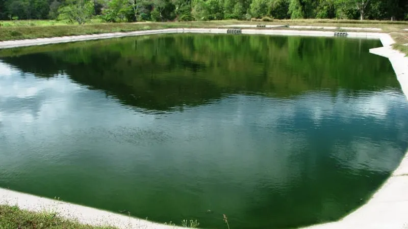Tratamiento de Aguas Residuales